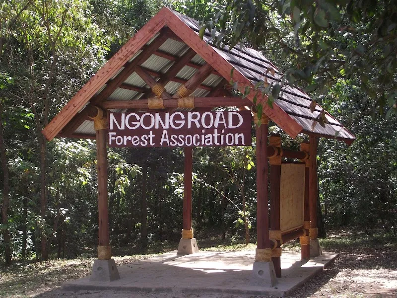 Ngong Road Forest Sanctuary park in Nairobi, NBO