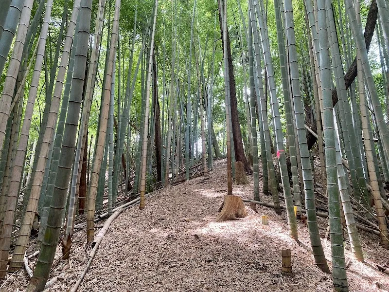 Niiharu Shimin no Mori nature preserve in Midori, Kanagawa