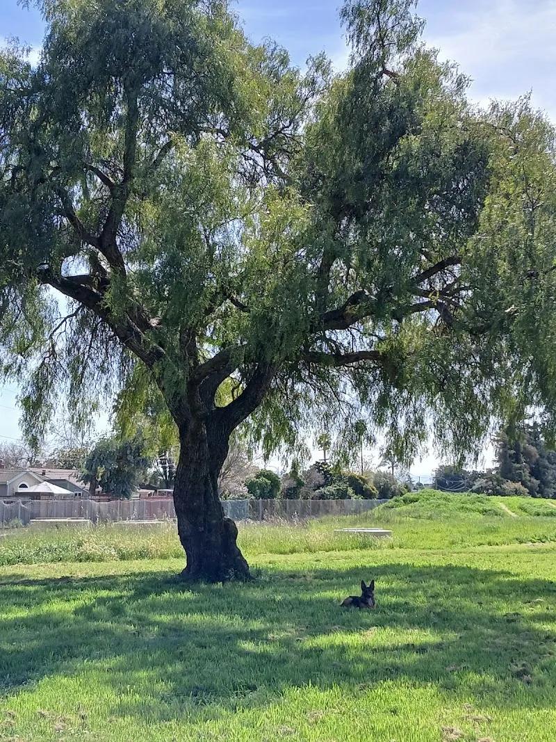 Noll Park park in Union City, CA