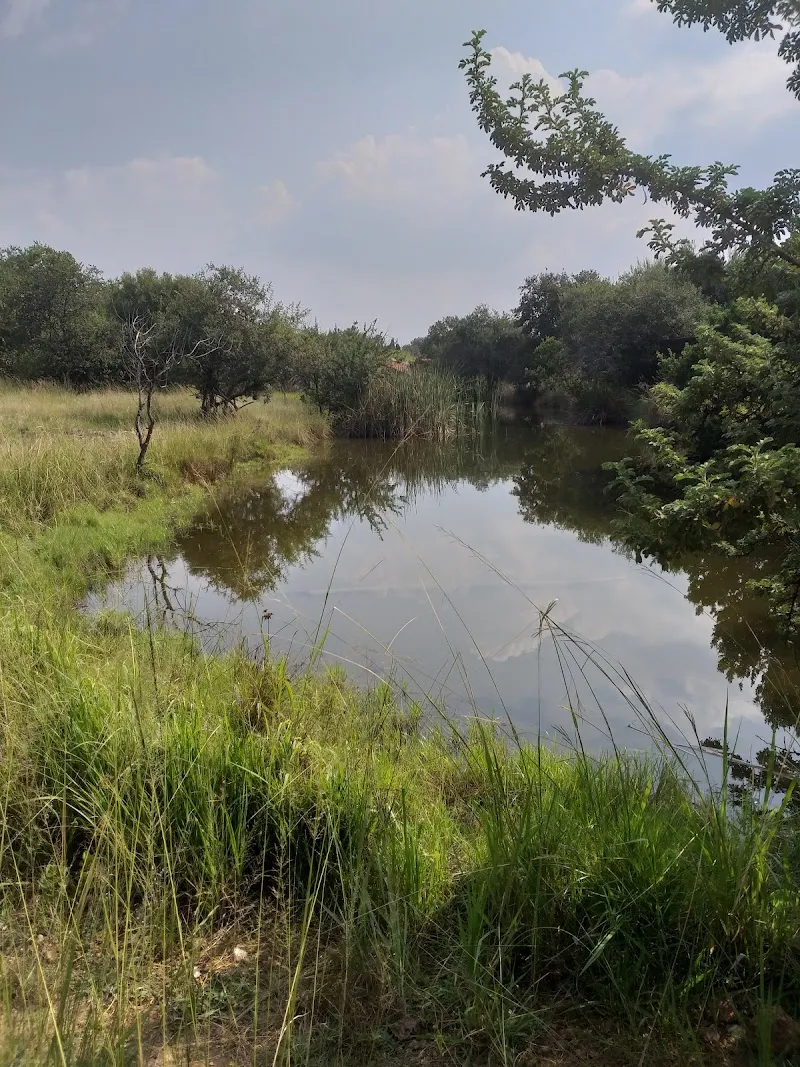Norscot Koppies Nature Reserve nature preserve in Fourways, GP