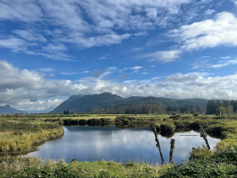 North Alouette River South Dike Trail hiking area in Pitt Meadows, BC