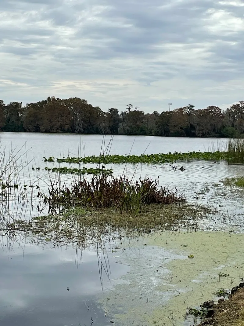 Northlake Park at Lake Nona neighborhood in Lake Nona, FL