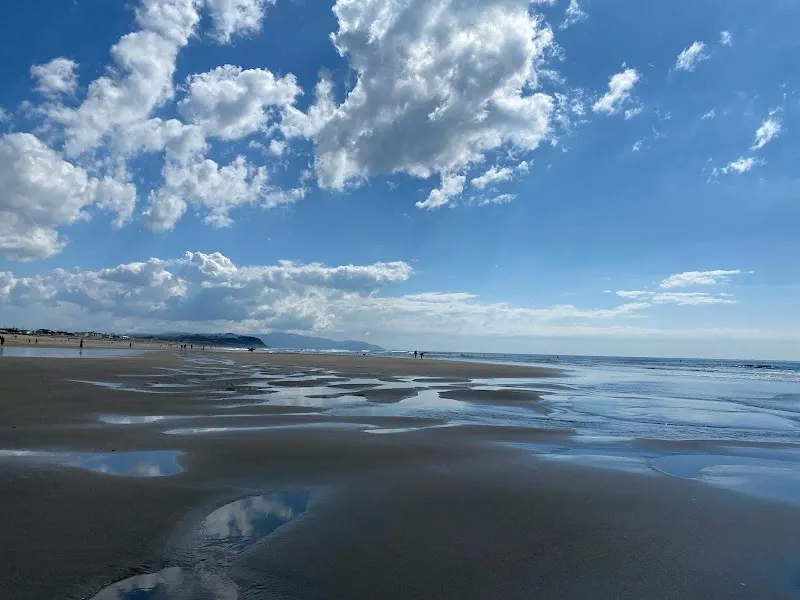 Ocean Beach beach in San Francisco, CA