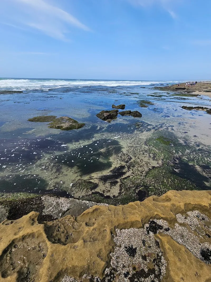 Ocean Beach Tide Pools tourist attraction in Ocean Beach, CA