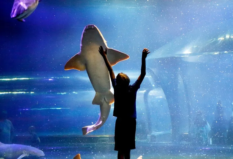 Oklahoma Aquarium aquarium in Tulsa, OK