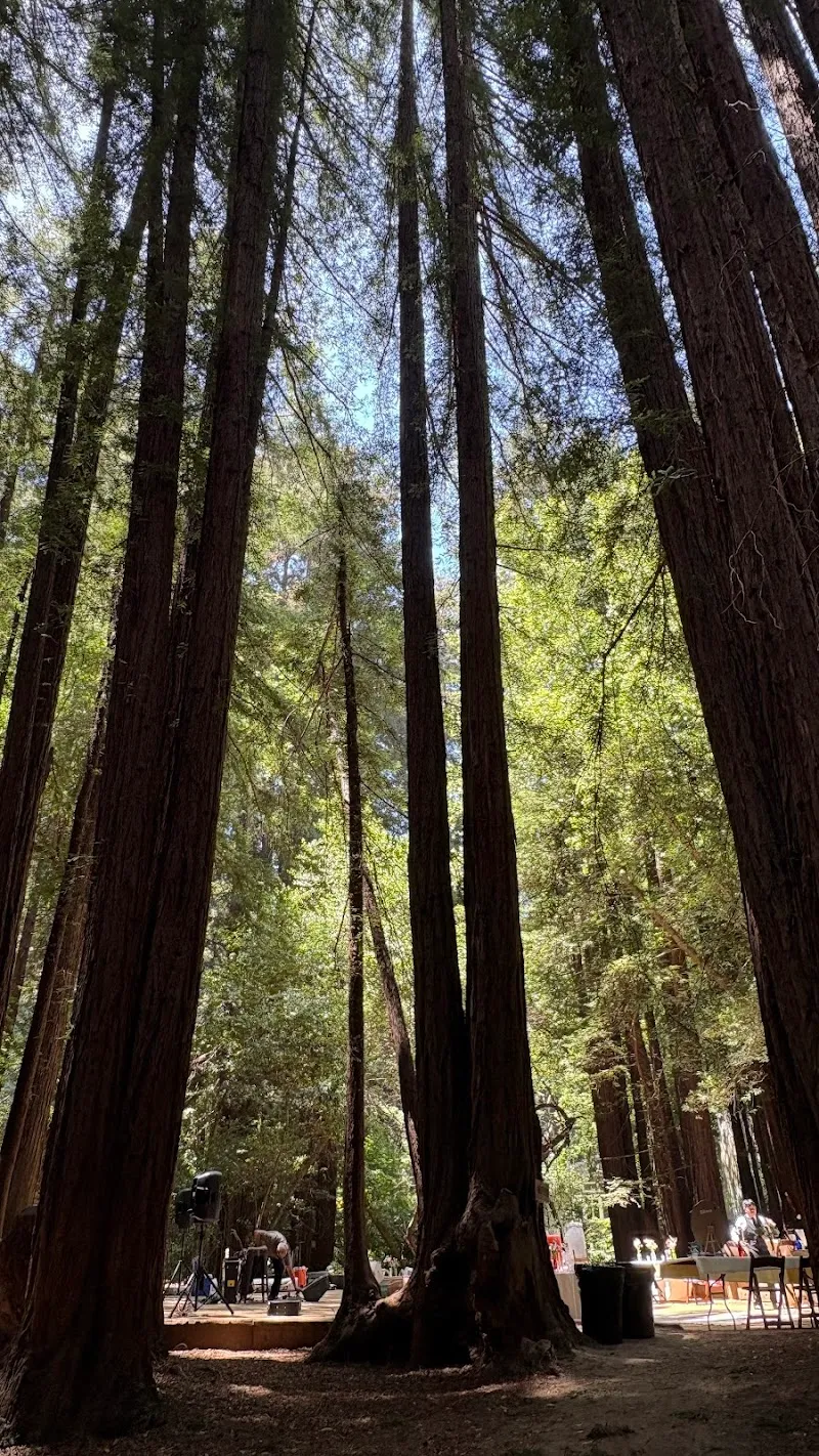 Old Mill Park city park in Mill Valley, CA