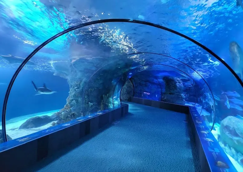 Omaha's Henry Doorly Zoo and Aquarium zoo in Omaha, NE