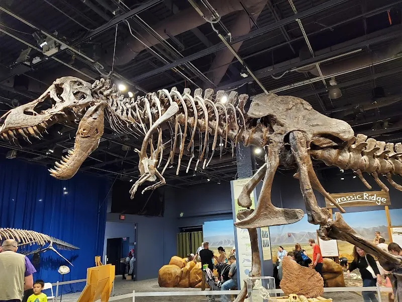 Orlando Science Center preschool in Orlando, FL