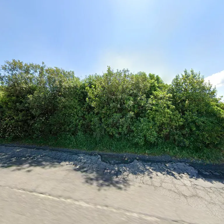 Orto Biologico Comunale farm in Anguillara Sabazia, Lazio