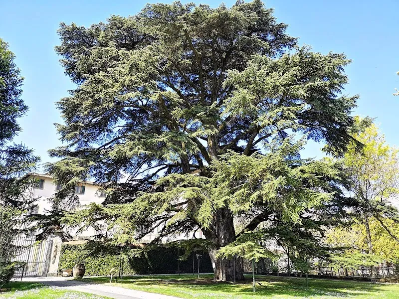 Orto Botanico Comunale garden in Poggio a Caiano, Tuscany