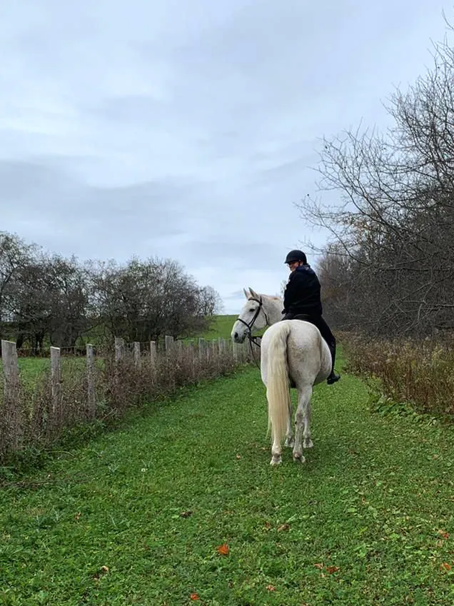 Ovation Hall Training Centre sports activity location in Newmarket, ON