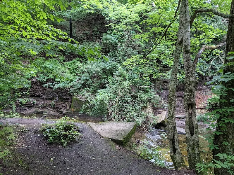 Overbrook Ravine Park city park in Clintonville, OH