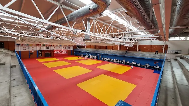 pabellon deportivo municipal villaviciosa de odon sports complex in Villaviciosa de Odón, Madrid