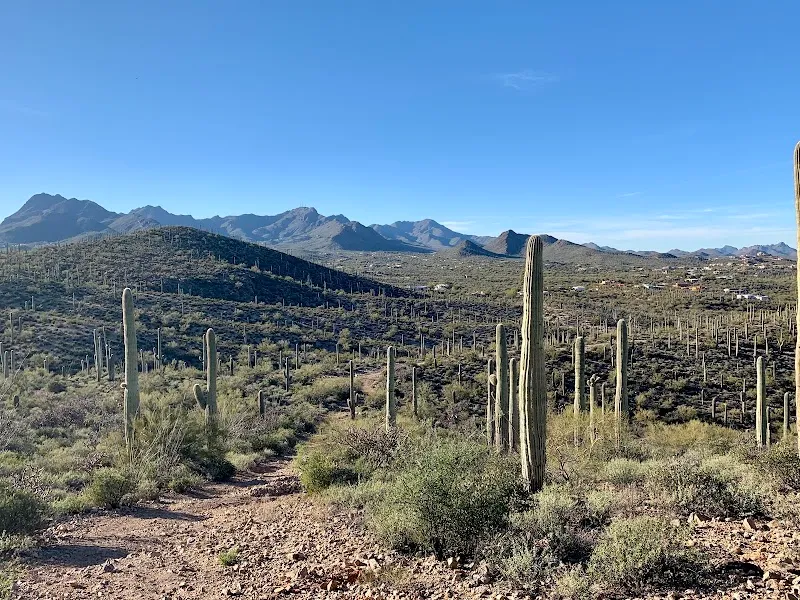 Painted Hills Trailhead hiking area in Marana, AZ