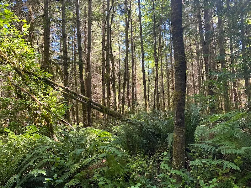 Paradise Valley Conservation Area Parking and Trail Head park in Woodinville, WA