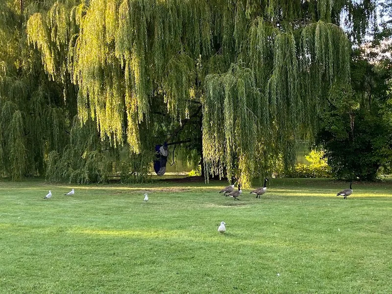 Parc Angrignon park in Montreal, QC