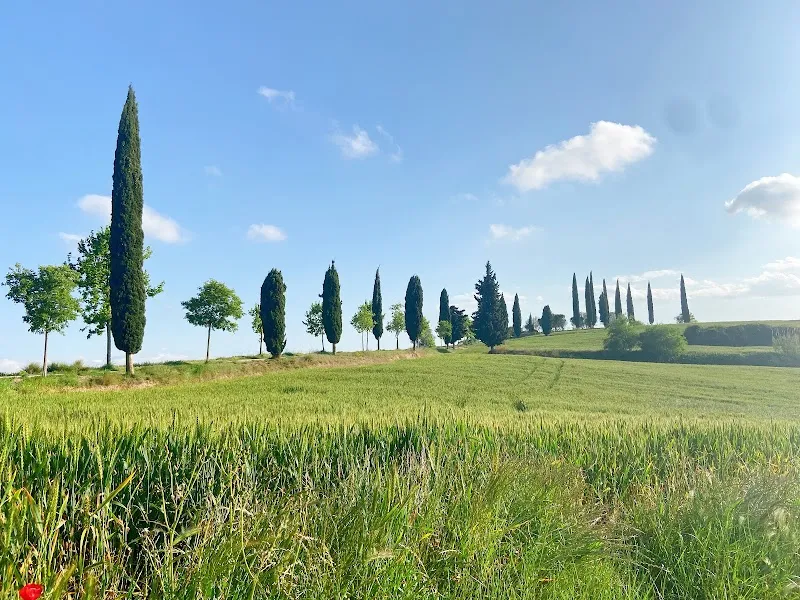 Parc de Ca n’Oriol park in Rubí, CT