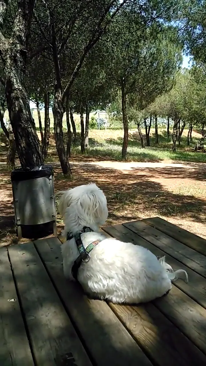 Parc de Catalunya route in Sabadell, CT