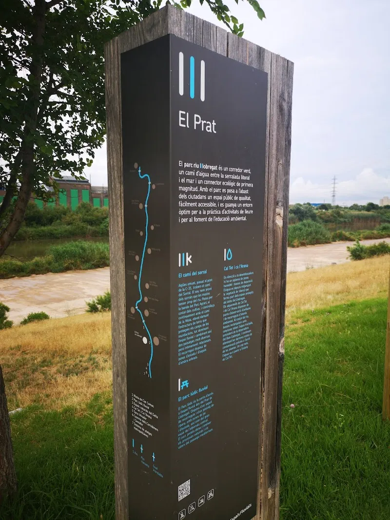 Parc del Riu Llobregat park in Corbera de Llobregat, CT