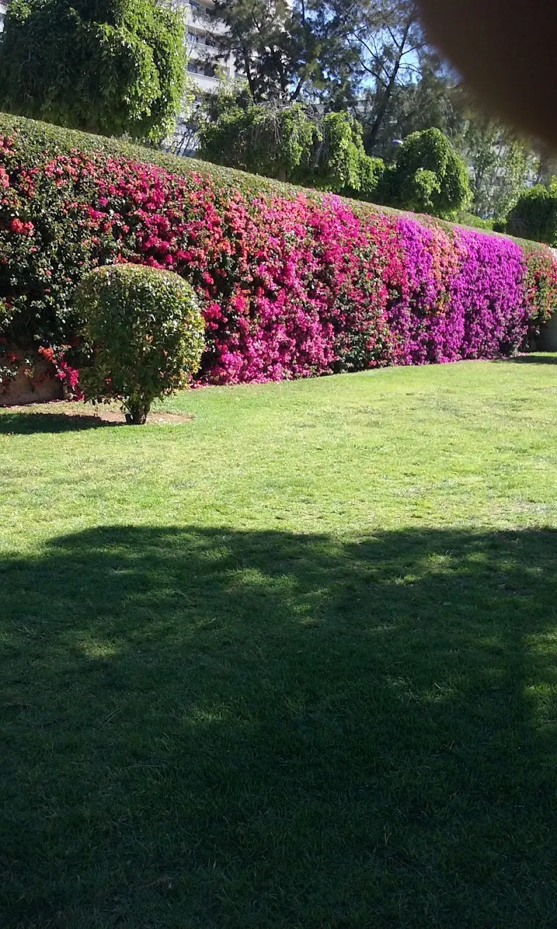 Parc del Riu park in Valencia, VC
