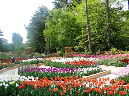 Parc Floral de Paris park in Vincennes, IDF