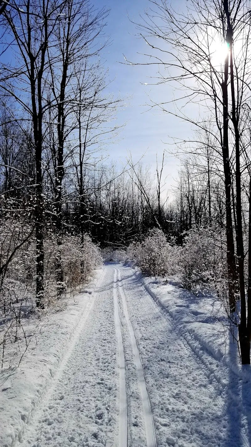 Parc Fonrouge park in Chambly, QC