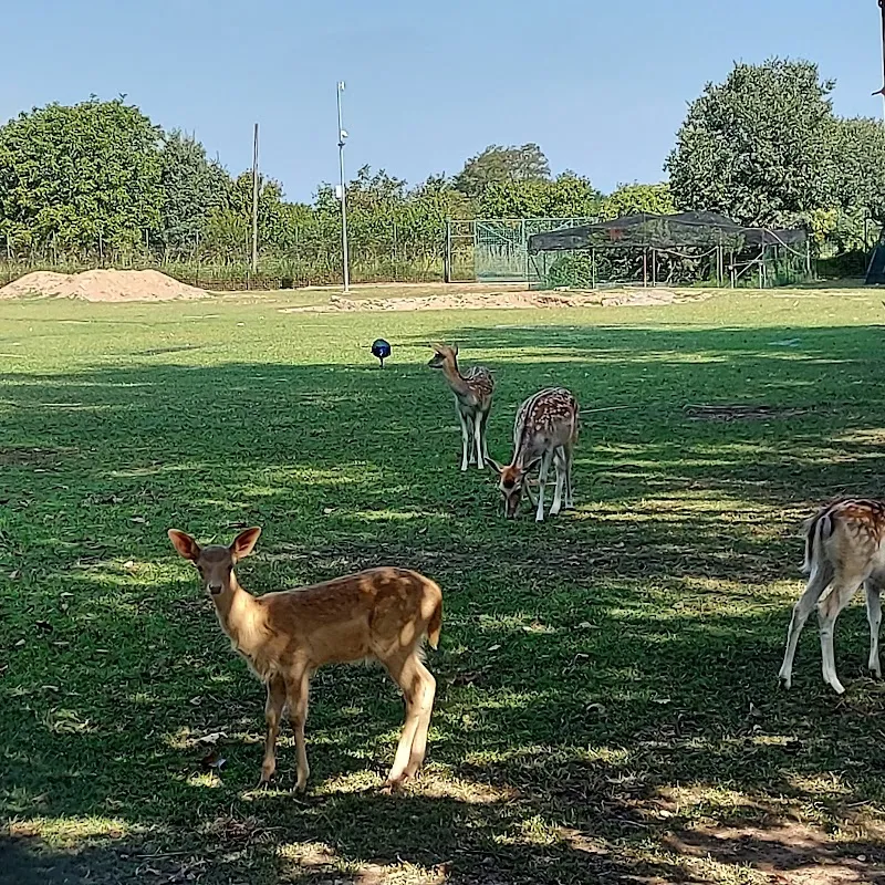 Parco Arcadia park in Brianza, Lombardy