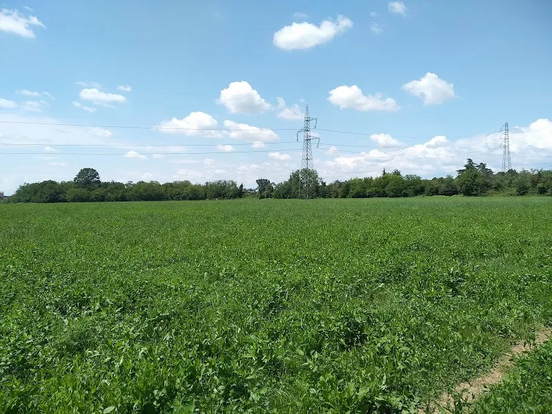 Parco Centrale di Brugherio park in Brianza, Lombardy
