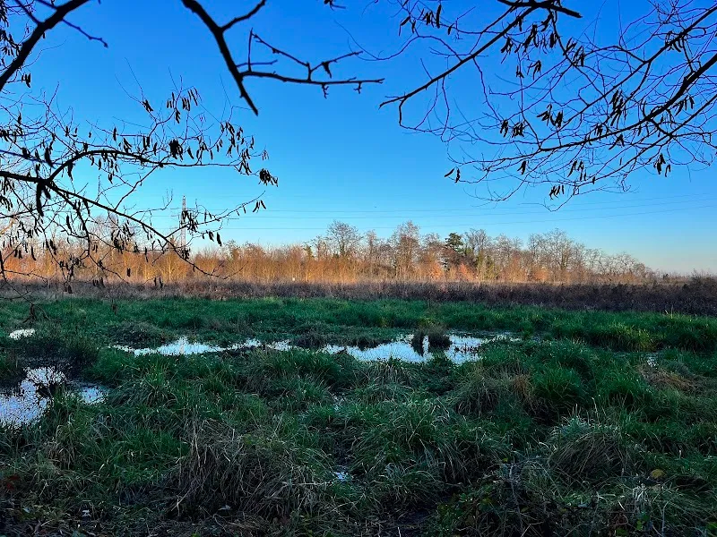 Parco della Besozza city park in Peschiera Borromeo, Lombardy
