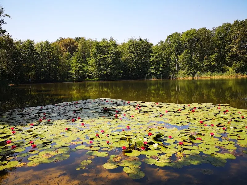 Parco della Briantea park in Brianza, Lombardy