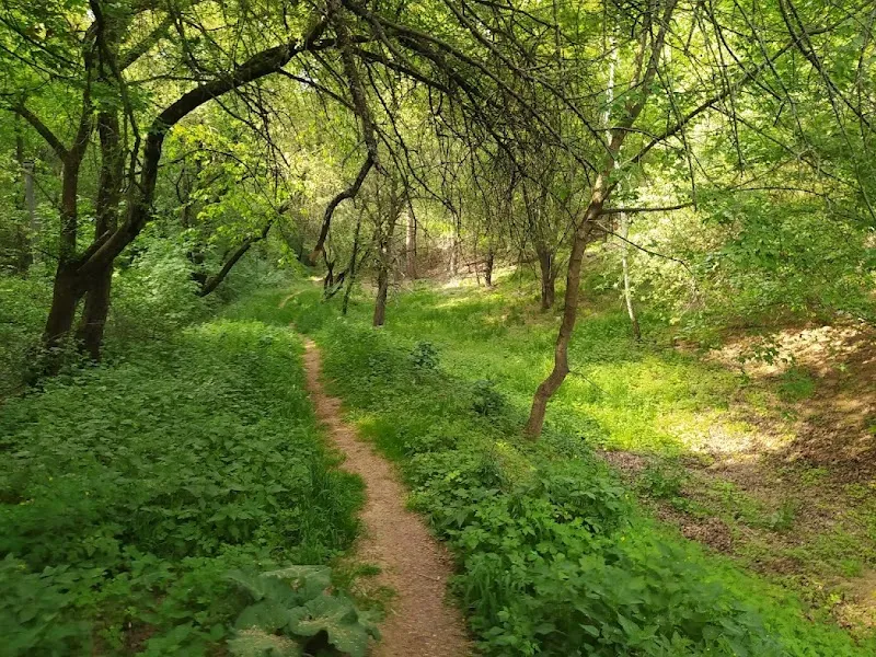 Park Tiché údolí park in Roztoky, CZ