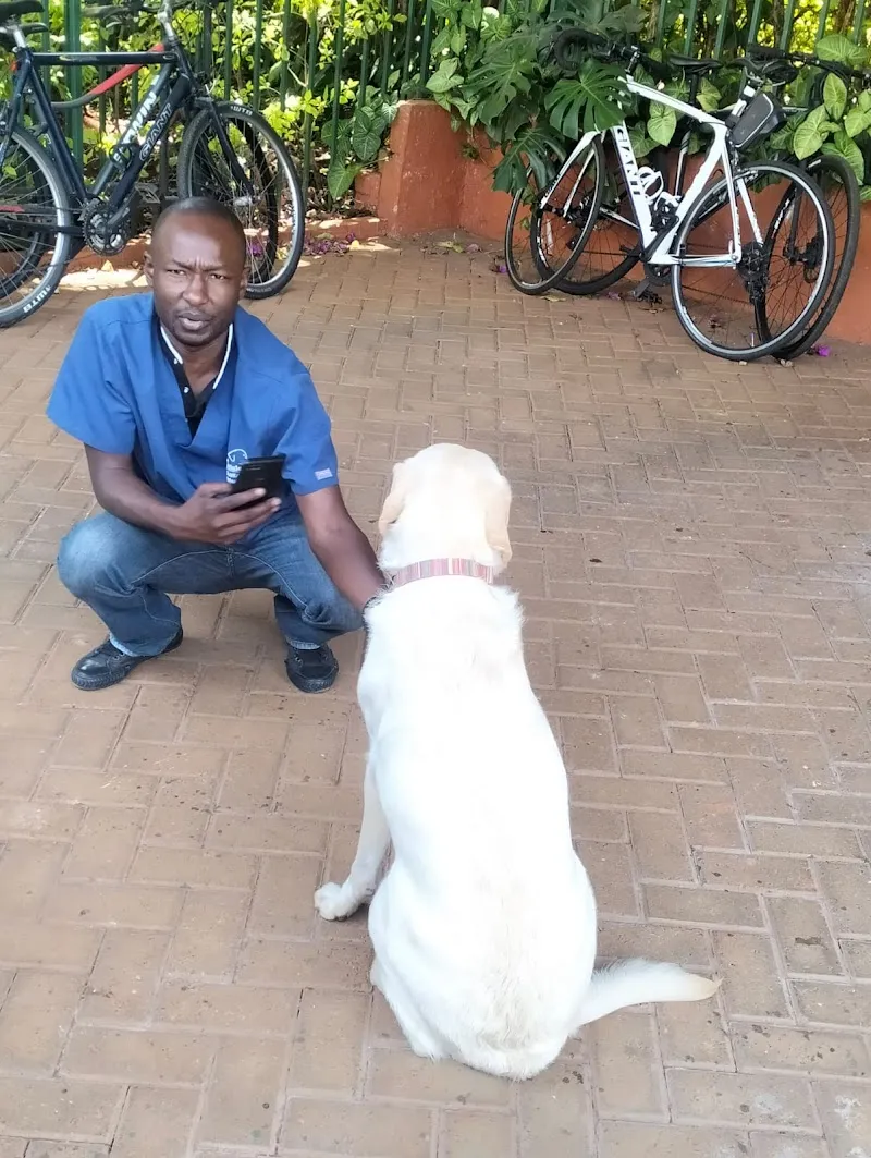 Parklands Veterinary Clinic & Petting Area attraction in Parklands, Nairobi