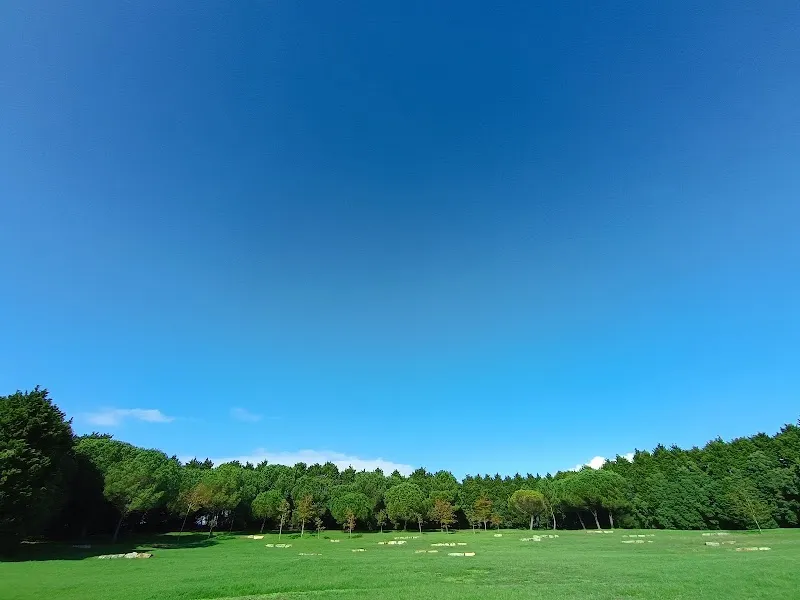 Parque da Cidade do Porto city park in Porto, PRT