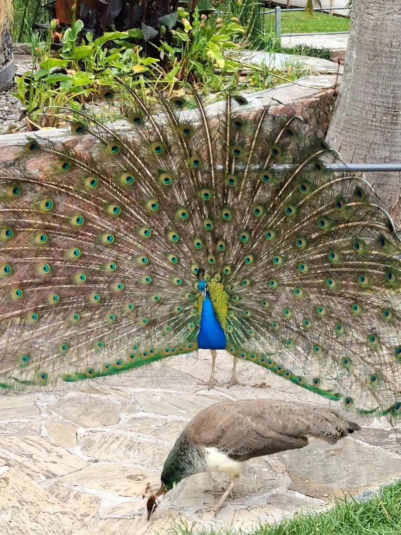 Parque de las Acacias park in Montevideo, MO