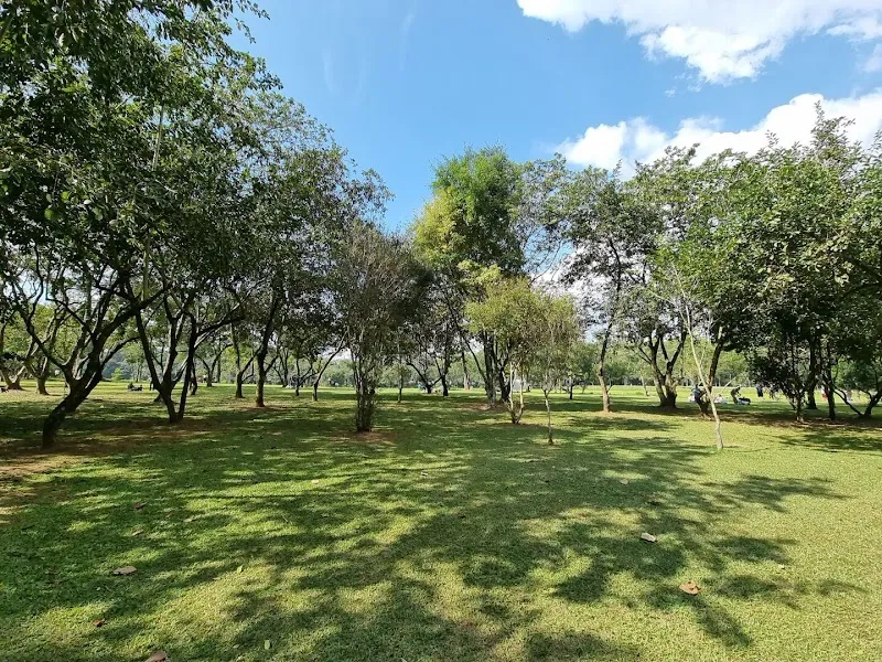 Parque Ecológico Vivencial da Barueri nature in Barueri, SP