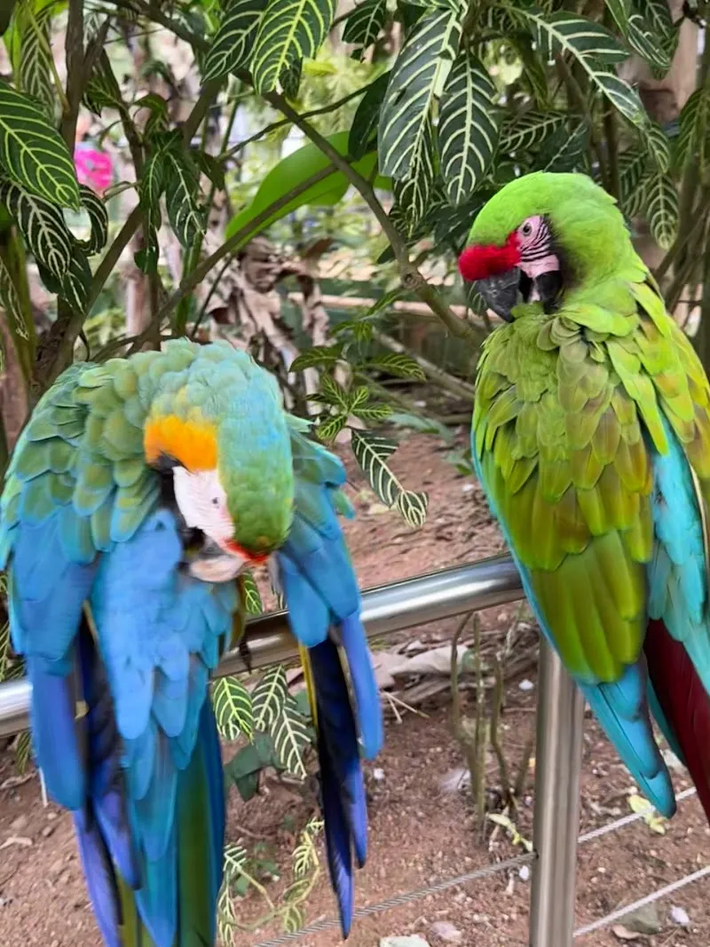 Parque Forestal La Marquesa park in Guaynabo, PR