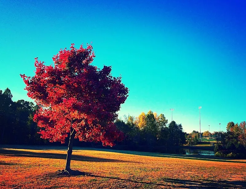 Parrish Womble Park park in Holly Springs, NC