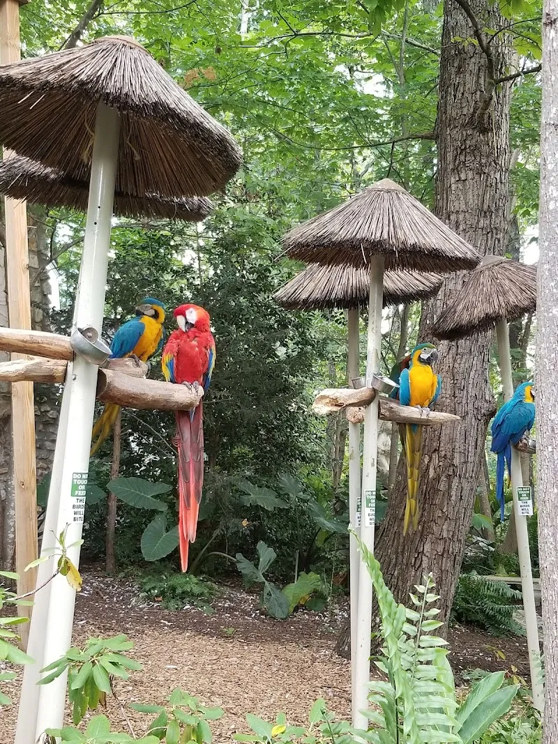 Parrot Mountain and Gardens garden in Pigeon Forge, TN