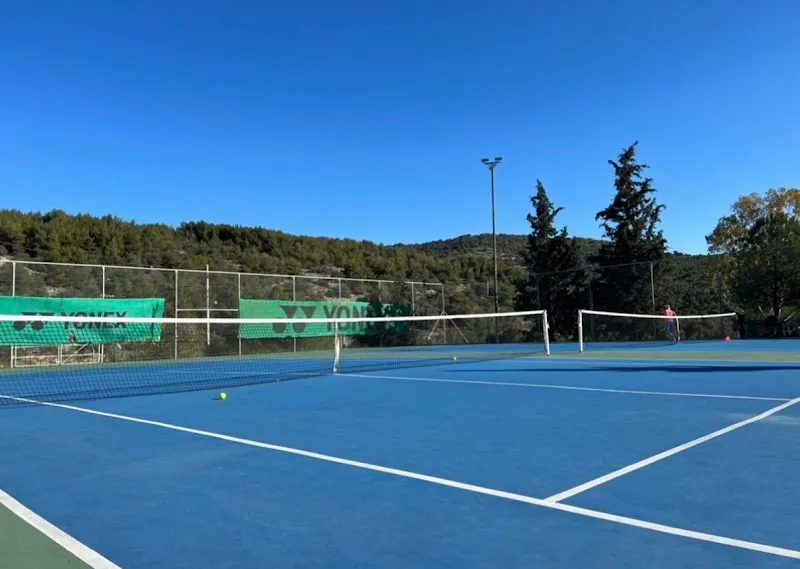 Petroupoli Sports Club sports in Petroupoli, AT