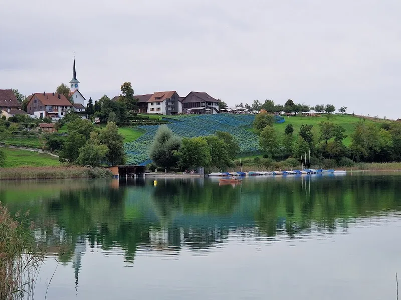 Pfäffikersee lake in Wädenswil, ZH