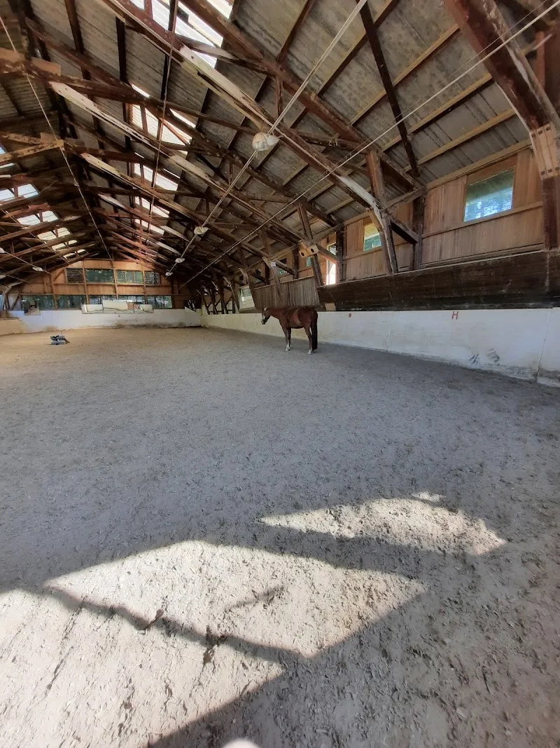 Pferdepark Elsbethen farm in Elsbethen, Salzburg