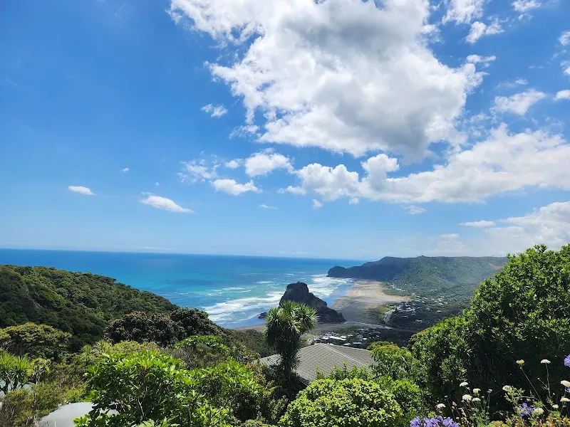 Piha Valley Walk nature in Piha, AKL