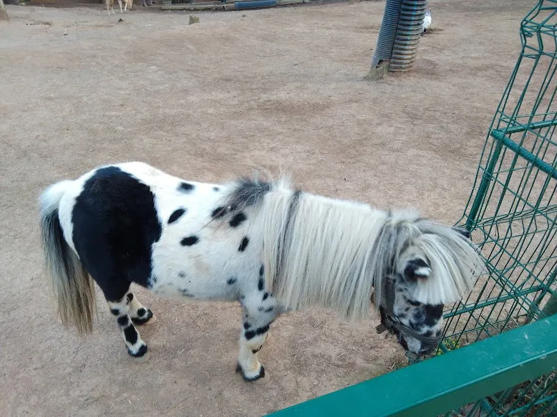 Piknik Alanı picnic ground in Çekmeköy, Istanbul