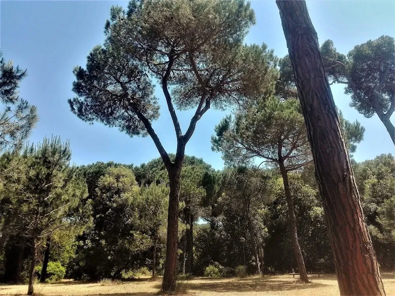 Pineta Monumentale di Fregene - Parco Federico Fellini park in Fregene, Lazio
