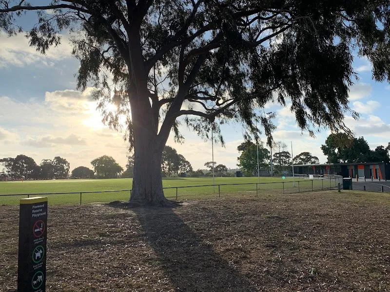 Pinewood Reserve Playground playground in Mount Waverley, VIC