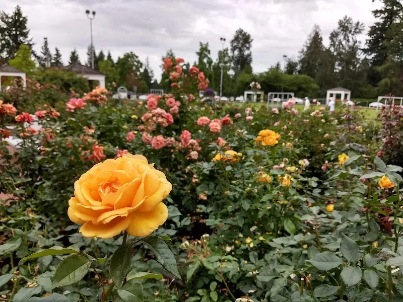 Poirier Community Centre community center in Coquitlam, BC