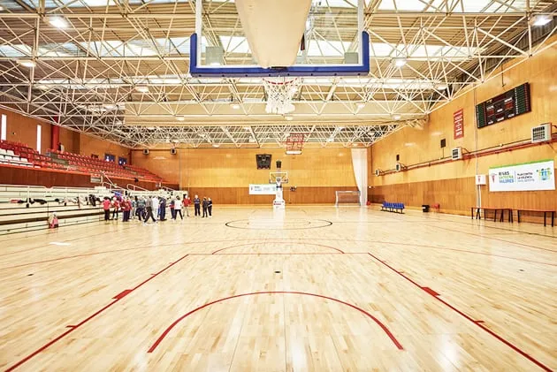 Polideportivo Municipal Cerro del Telégrafo sports complex in Rivas-Vaciamadrid, Madrid