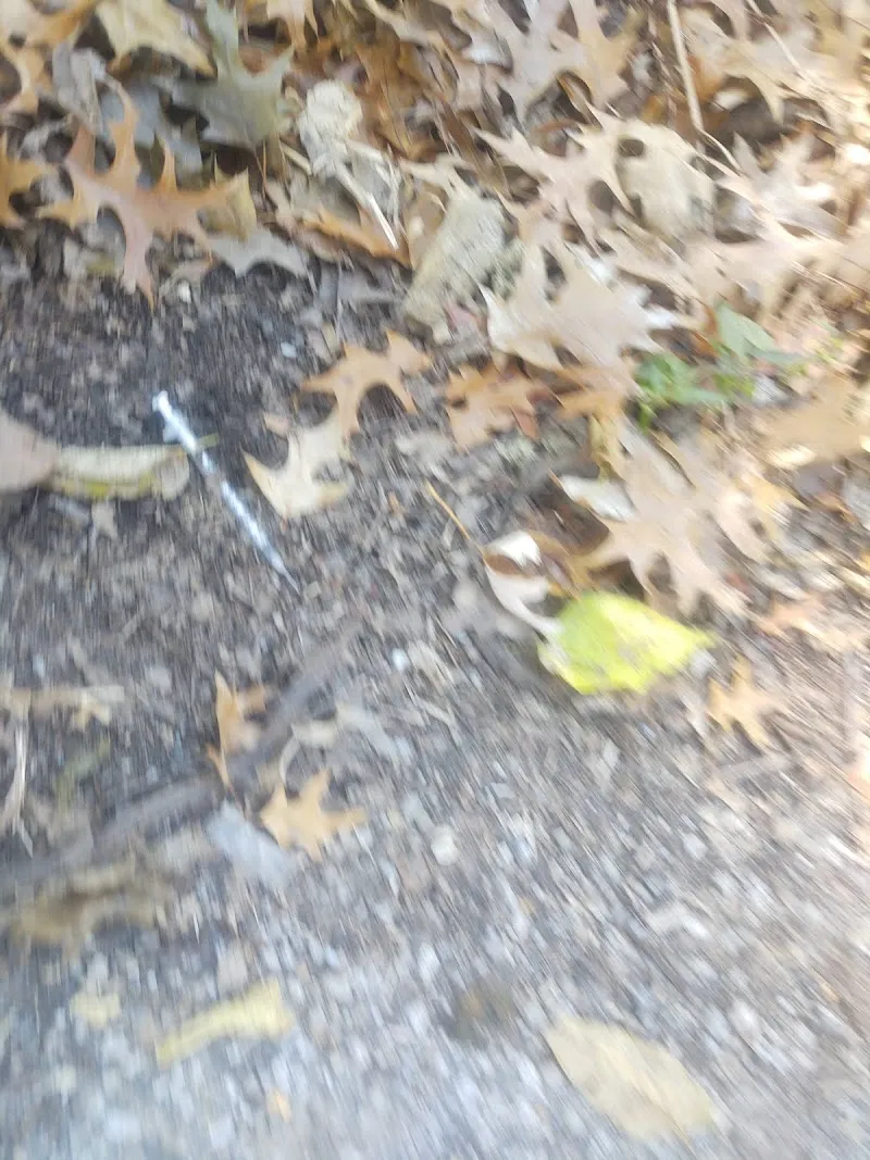 Preston Park park in Okolona, KY