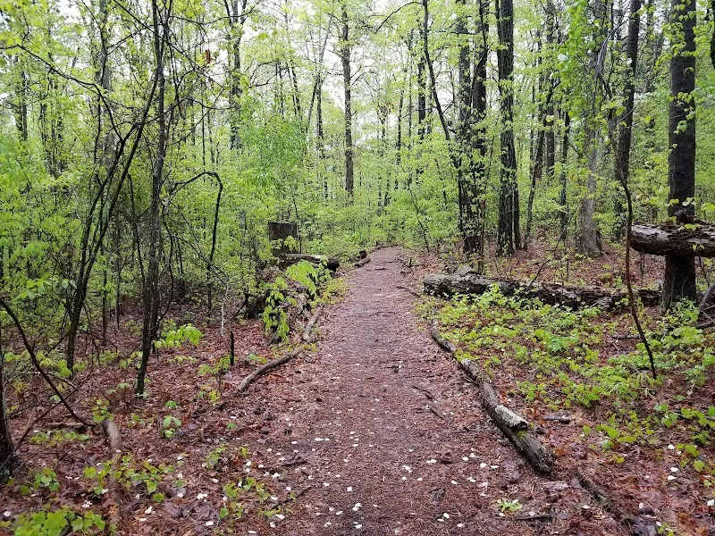 Providence Park park in Milton, GA
