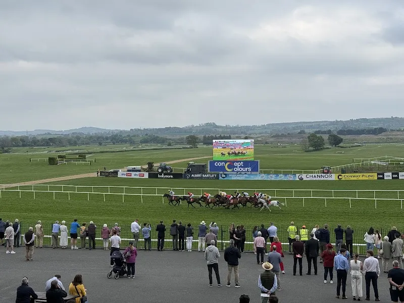 Punchestown Racecourse race course in Naas, D